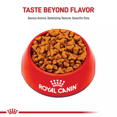 Product Royal Canin® Breed Health Nutrition® Pug Breed Specific Adult Dog Dry Food - 10 lb