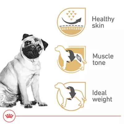 Product Royal Canin® Breed Health Nutrition® Pug Breed Specific Adult Dog Dry Food - 10 lb