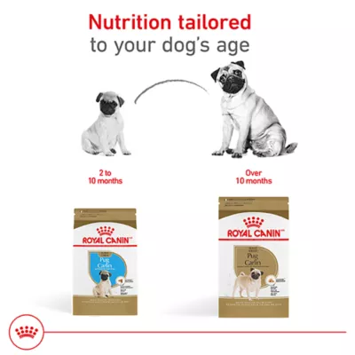Product Royal Canin® Breed Health Nutrition® Pug Breed Specific Adult Dog Dry Food - 10 lb