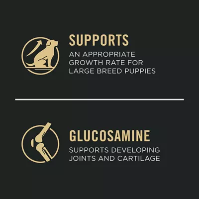 Product Purina Pro Plan Development Large Breed Puppy Dry Dog Food - Chicken & Rice