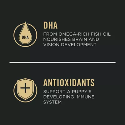 Product Purina Pro Plan Development Large Breed Puppy Dry Dog Food - Chicken & Rice