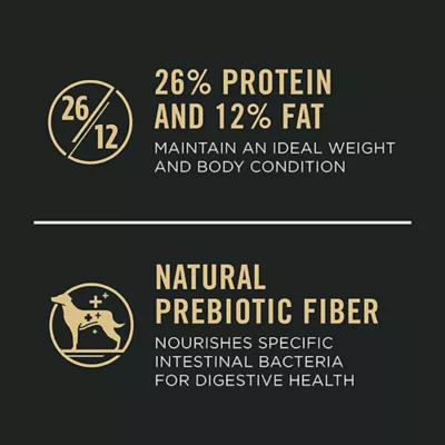 Product Purina® Pro Plan Large Breed Adult Dry Dog Food - Chicken & Rice