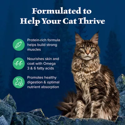 Product Blue Buffalo Wilderness Adult Dry Cat Food - Grain Free, Duck