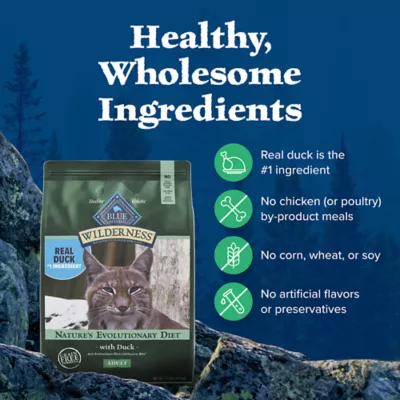 Product Blue Buffalo Wilderness Adult Dry Cat Food - Grain Free, Duck