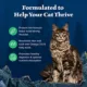 Product Blue Buffalo Wilderness Adult Dry Cat Food - Grain Free, Duck