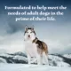 Product Blue Buffalo Wilderness Adult Wet Dog Food - Grain Free, Duck & Chicken, 12.5 oz