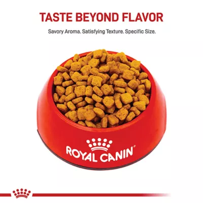 Product Royal Canin® Breed Health Nutrition® Dachshund Breed Specific Adult Dog Dry Food