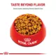 Product Royal Canin® Breed Health Nutrition® Dachshund Breed Specific Adult Dog Dry Food