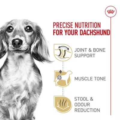 Product Royal Canin® Breed Health Nutrition® Dachshund Breed Specific Adult Dog Dry Food