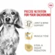 Product Royal Canin® Breed Health Nutrition® Dachshund Breed Specific Adult Dog Dry Food