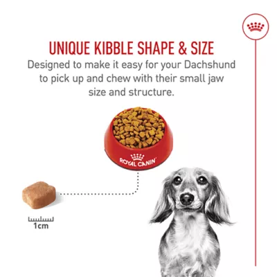 Product Royal Canin® Breed Health Nutrition® Dachshund Breed Specific Adult Dog Dry Food