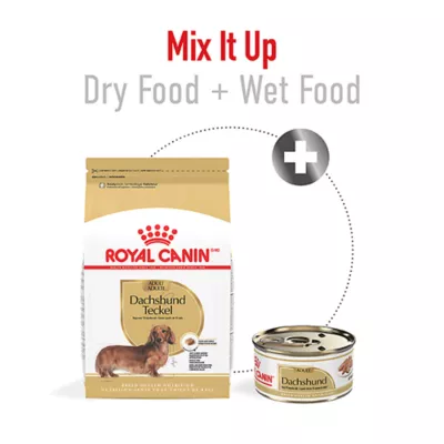 Product Royal Canin® Breed Health Nutrition® Dachshund Breed Specific Adult Dog Dry Food