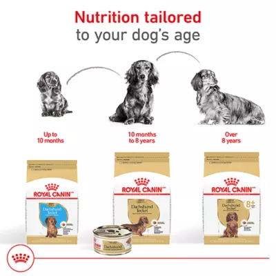 Product Royal Canin® Breed Health Nutrition® Dachshund Breed Specific Adult Dog Dry Food