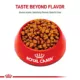 Product Royal Canin Adult Dry Dog Food - Yorkshire Terrier Breed Health Nutrition