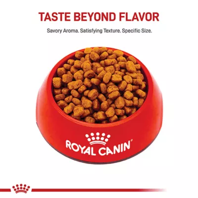 Product Royal Canin Adult Dry Dog Food - Yorkshire Terrier Breed Health Nutrition