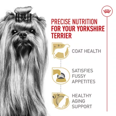 Product Royal Canin Adult Dry Dog Food - Yorkshire Terrier Breed Health Nutrition