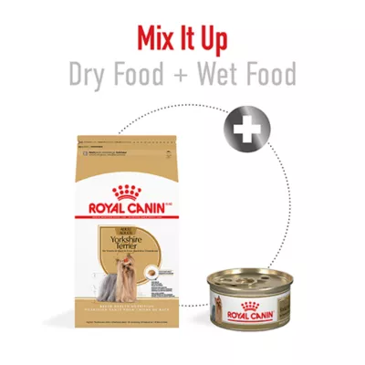 Product Royal Canin Adult Dry Dog Food - Yorkshire Terrier Breed Health Nutrition