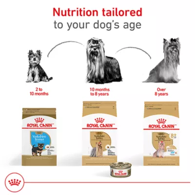 Product Royal Canin Adult Dry Dog Food - Yorkshire Terrier Breed Health Nutrition