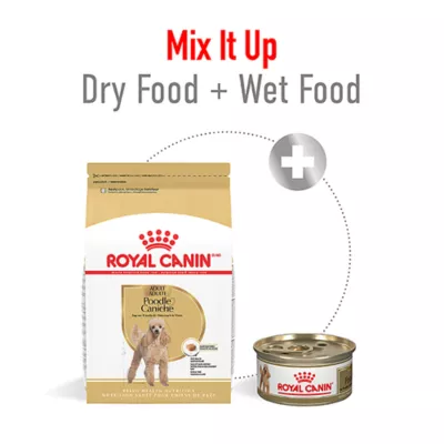 Product Royal Canin Adult Dry Dog Food - Poodle Breed Health Nutrition