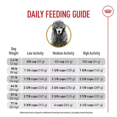 Product Royal Canin Adult Dry Dog Food - Poodle Breed Health Nutrition