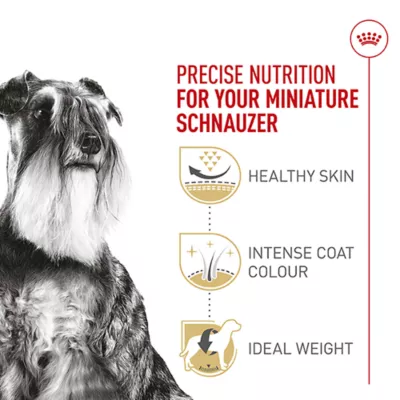 Product Royal Canin® Breed Health Nutrition® Miniature Schnauzer Breed Specific Adult Dog Dry Food - 10 lb
