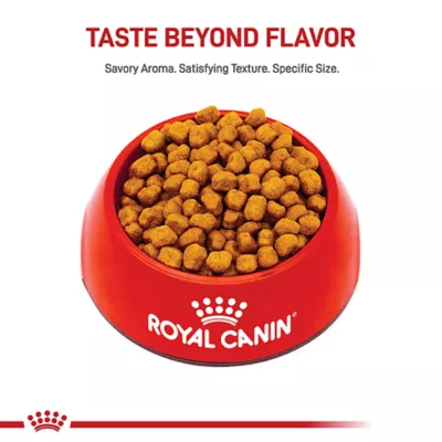 Product Royal Canin Adult Dry Dog Food - Shih Tzu Breed Health Nutrition