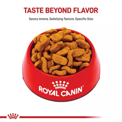 Product Royal Canin® Breed Health Nutrition® Bulldog Breed Specific Adult Dog Dry Food