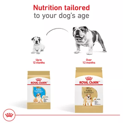 Product Royal Canin® Breed Health Nutrition® Bulldog Breed Specific Adult Dog Dry Food
