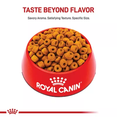 Product Royal Canin® Breed Health Nutrition® Labrador Retriever Breed Specific Adult Dog Dry Food - 30 lb