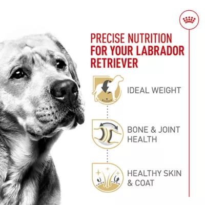 Product Royal Canin® Breed Health Nutrition® Labrador Retriever Breed Specific Adult Dog Dry Food - 30 lb