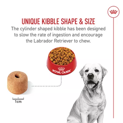 Product Royal Canin® Breed Health Nutrition® Labrador Retriever Breed Specific Adult Dog Dry Food - 30 lb