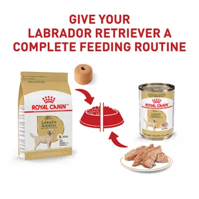 Product Royal Canin® Breed Health Nutrition® Labrador Retriever Breed Specific Adult Dog Dry Food - 30 lb