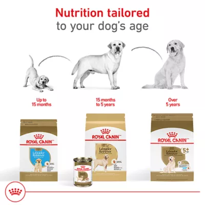 Product Royal Canin® Breed Health Nutrition® Labrador Retriever Breed Specific Adult Dog Dry Food - 30 lb