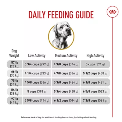 Product Royal Canin® Breed Health Nutrition® Labrador Retriever Breed Specific Adult Dog Dry Food - 30 lb