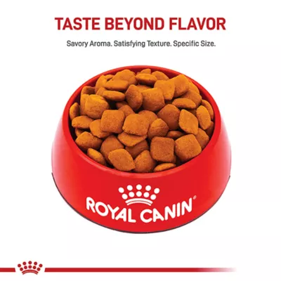 Product Royal Canin® Breed Health Nutrition® Golden Retriever Breed Specific Adult Dog Dry Food - 30 lb