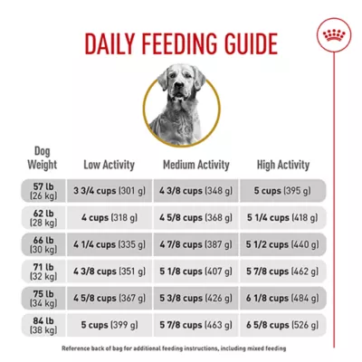 Product Royal Canin® Breed Health Nutrition® Golden Retriever Breed Specific Adult Dog Dry Food - 30 lb