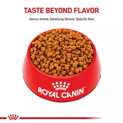 Product Royal Canin® Breed Health Nutrition® German Shepherd Breed Specific Puppy Dog Dry Food - 30 lb