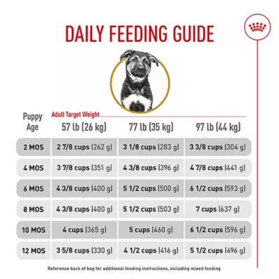 Product Royal Canin® Breed Health Nutrition® German Shepherd Breed Specific Puppy Dog Dry Food - 30 lb