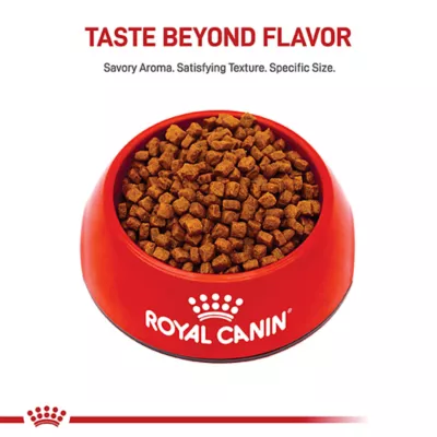 Product Royal Canin Puppy Dry Dog Food - Yorkshire Terrier Breed Health Nutrition, 2.5 lb