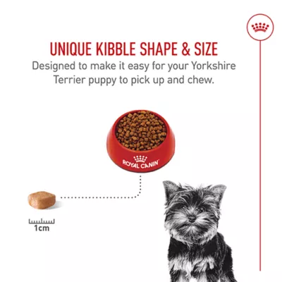 Product Royal Canin Puppy Dry Dog Food - Yorkshire Terrier Breed Health Nutrition, 2.5 lb