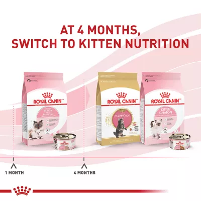 Product Royal Canin® Feline Health Nutrition Mother & Babycat Mousse in Sauce Wet Cat Food - 3 oz