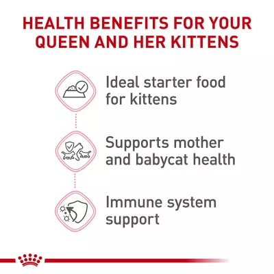 Product Royal Canin® Feline Health Nutrition Mother & Babycat Mousse in Sauce Wet Cat Food - 3 oz