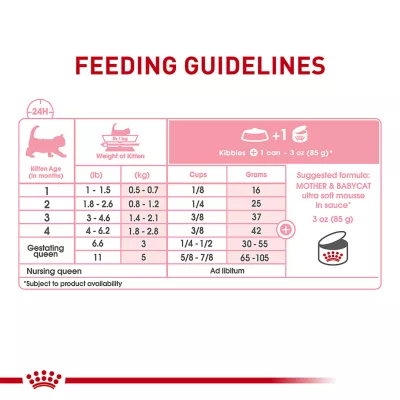 Product Royal Canin® Feline Health Nutrition Mother & Babycat Mousse in Sauce Wet Cat Food - 3 oz