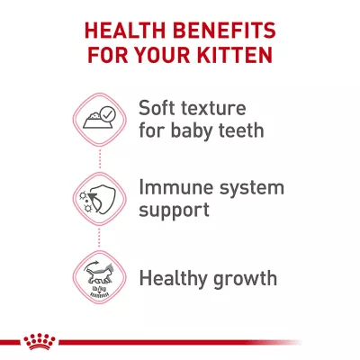 Product Royal Canin® Feline Health Nutrition Kitten Thin Slices in Gravy Wet Cat Food - 3 oz