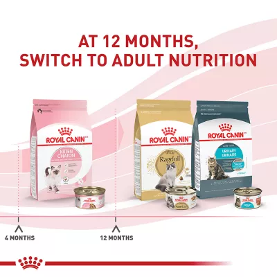 Product Royal Canin® Feline Health Nutrition Kitten Thin Slices in Gravy Wet Cat Food - 3 oz