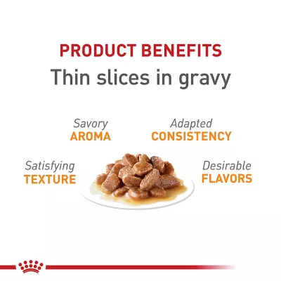 Product Royal Canin® Feline Care Nutrition Hair & Skin Care Adult Wet Cat Food - Thin Slices in Gravy, 3 Oz
