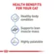 Product Royal Canin® Feline Care Nutrition Weight Care Adult Wet Cat Food - Thin Slices in Gravy, 3 Oz