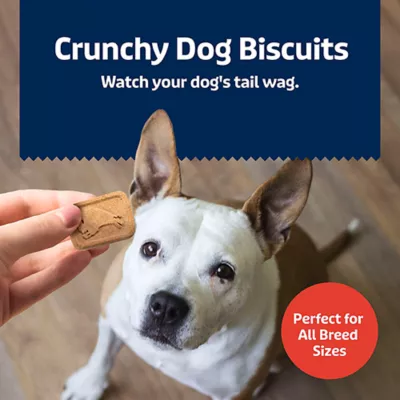 Product Blue Buffalo® Health Bars Crunchy Adult Dog Treats - 16 oz