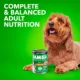 Product IAMS™ Proactive Health Adult Wet Dog Food - Pate, 6 Count