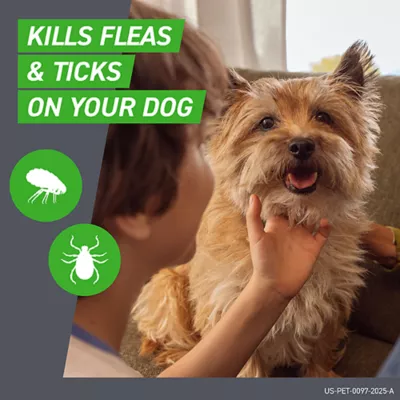 Product Frontline Plus Flea & Tick Dog Treatment 45-88 lbs